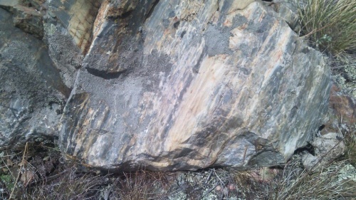 Гигантские зелёные валуны для ландшафтного дизайна весом более 5 тонн купить в Полевском