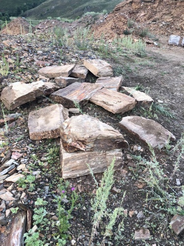 Пошаговая дорожка из плит златолит кора дерева купить в Полевском