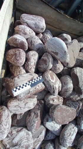 лемезит для ландшафтного дизайна